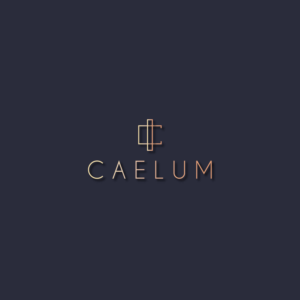 Logo Design by eema.naqvi for this project | Design #11436154
