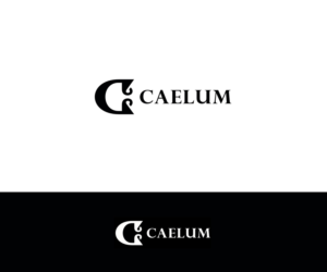Logo Design by carina_designs for this project | Design #11388393