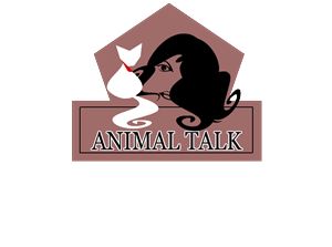 Logo Design by DollFace