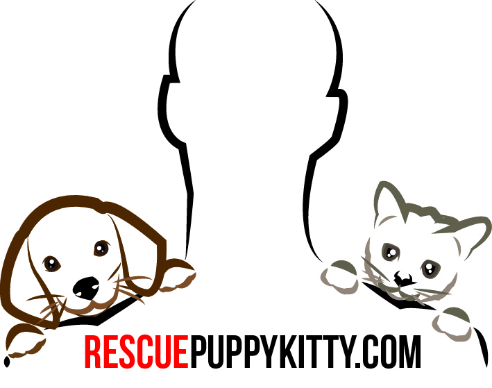 Logo Design by Shark Artack for this project | Design #11409968