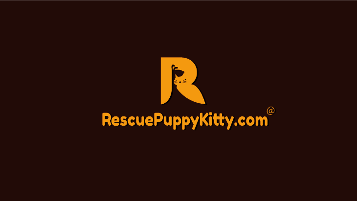 Logo-Design von ktsanhtung28031995 für dieses Projekt | Design #11449304