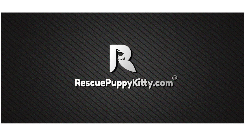 Logo Design by ktsanhtung28031995 for this project | Design #11463871