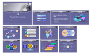 PowerPoint Design by iTech Graphics for this project | Design: #11436941