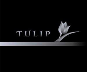 Logo Design by Dragana for this project | Design: #11367603