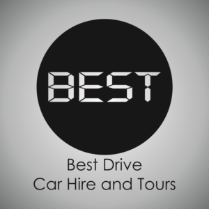 Logo Design by Savio Design Studio