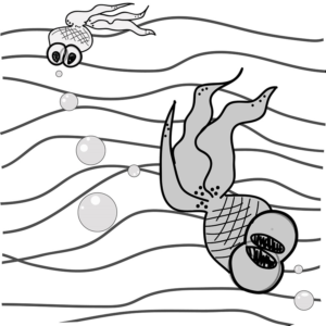 Illustration Design by nguyenthihuongdung.10