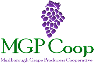 Logo Design by Jaxn Media &amp; Graphic Design