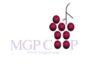 Logo Design by shakira sahar for this project | Design: #2337068