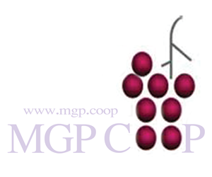 Logo Design by shakira sahar for this project | Design: #2337101