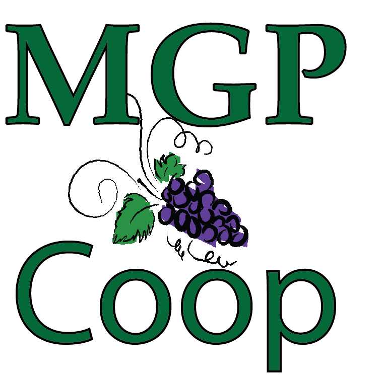 Logo Design by Inspired Graphic Design for this project | Design #2353718