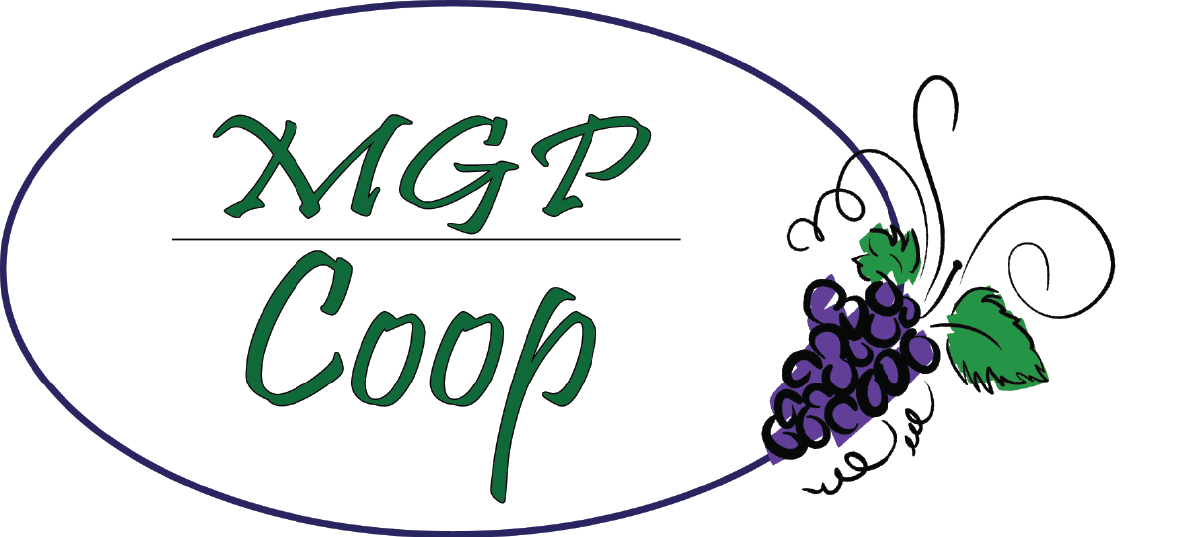 Logo Design by Inspired Graphic Design for this project | Design #2362764