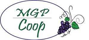 Logo Design by Inspired Graphic Design for this project | Design: #2362764