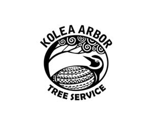 Logo Design by patrimonio