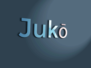 Logo Design by DESIGN Services JK for this project | Design: #11498367