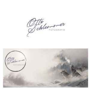 Logo Design by jellyfish