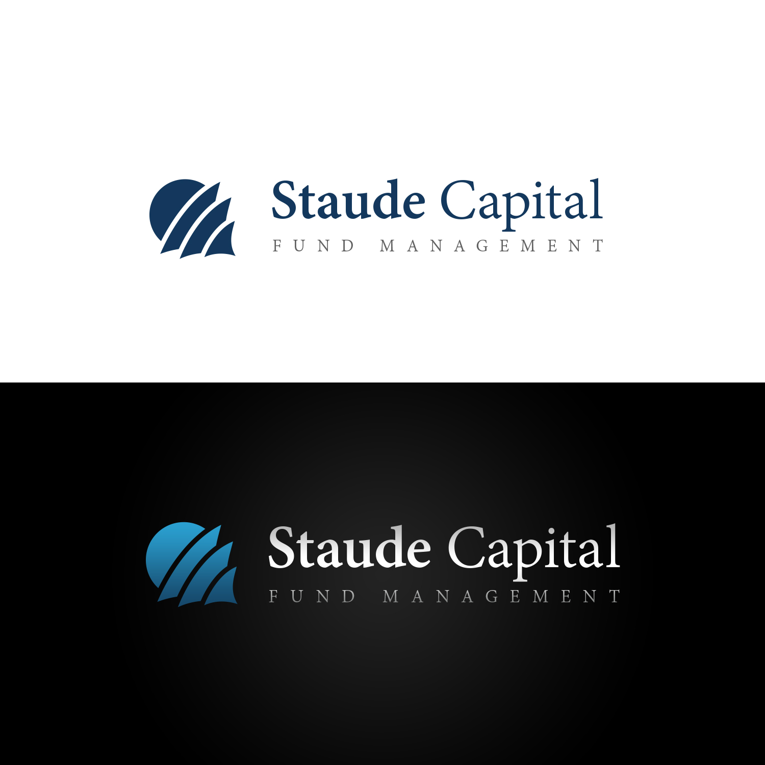 Serious, Professional, Finance Logo Design for Staude Capital by Wojtek