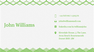 Diseño de Tarjeta de Presentación por Stoica Alin Ilie para este proyecto | Diseño #2378790