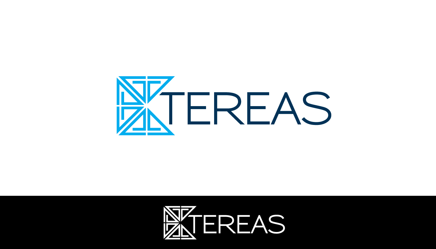 Logo Design by parshdelhi for tereas | Design #11410017