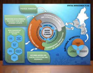 WCS marine wildlife conservation strategy | Illustration Design by SAI DESIGNS
