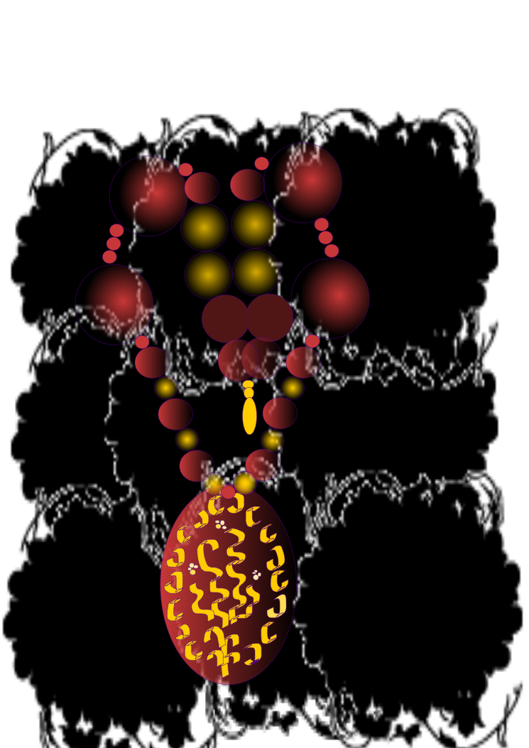 Logo Design by DCA2K11 for this project | Design #480000