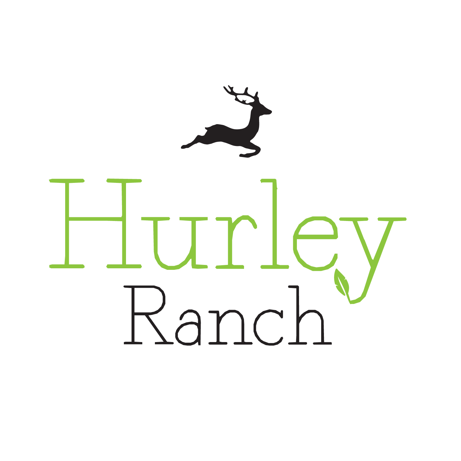 Logo Design by Mistral rainier for this project | Design #11421668