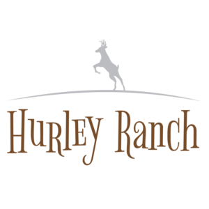 Logo Design by Mistral rainier for this project | Design: #11421674