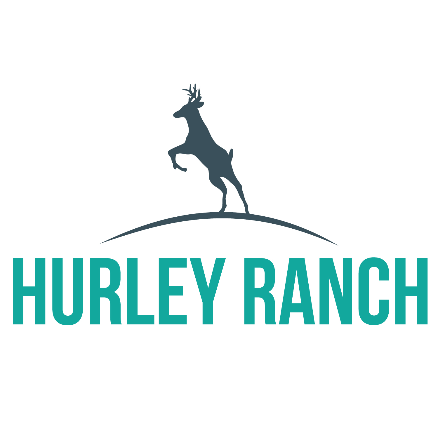 Logo Design by Mistral rainier for this project | Design #11421675