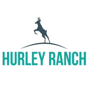 Logo Design by Mistral rainier for this project | Design: #11421675