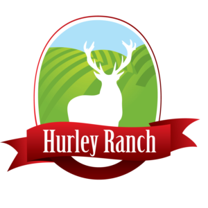 Logo Design by Mistral rainier for this project | Design: #11421676