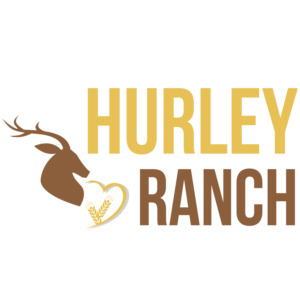 Logo Design by Mistral rainier for this project | Design: #11421677