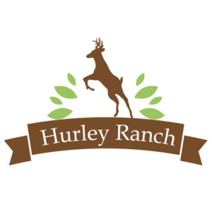 Logo Design by Mistral rainier for this project | Design: #11421678