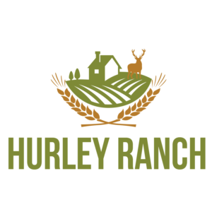 Logo Design by Mistral rainier for this project | Design: #11421679
