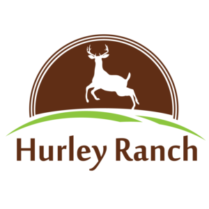 Logo Design by Mistral rainier for this project | Design: #11421680