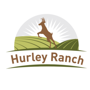 Logo Design by Mistral rainier for this project | Design: #11421682