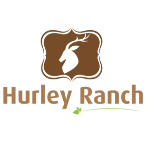 Logo Design by Mistral rainier for this project | Design: #11421685