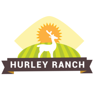Logo Design by Mistral rainier for this project | Design: #11421686