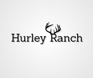 Logo Design by M2D2 for this project | Design #11405446