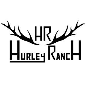 Logo Design by Raistlin