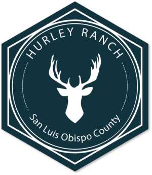 Logo Design by repo.rani for this project | Design: #11409839