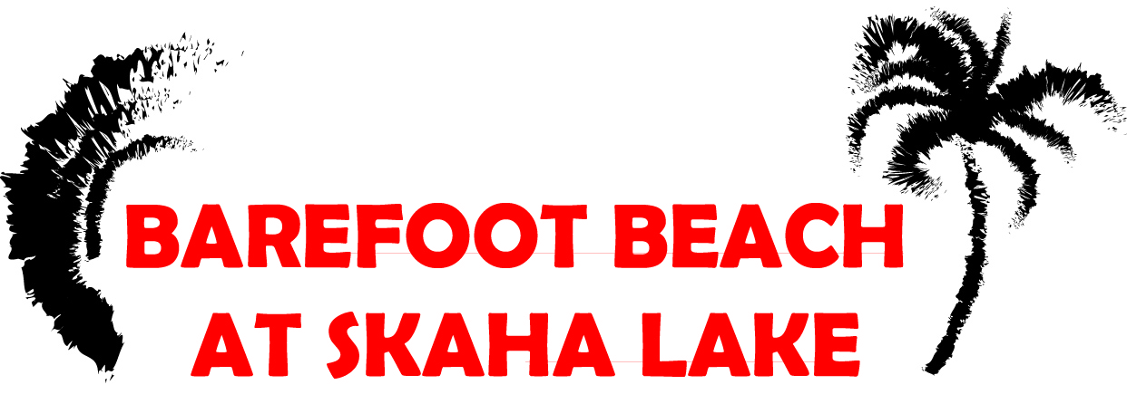 Logo Design by Shark Artack for Spyder Manufacturing | Design #11407287