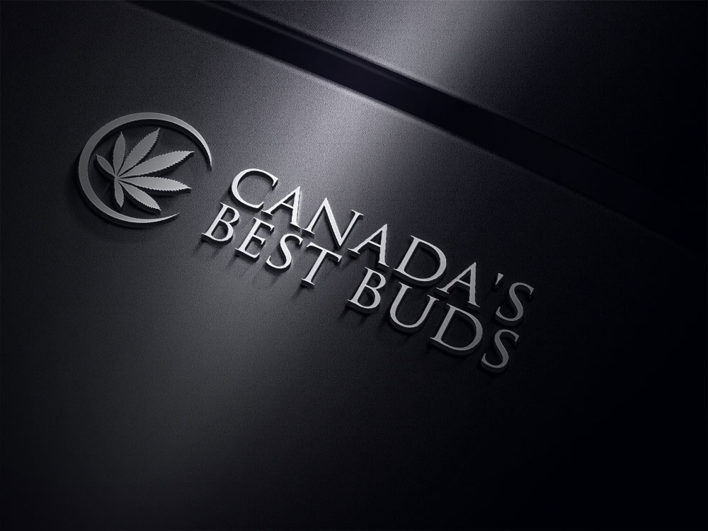 Logo Design by Design Kolektiv for this project | Design #11405826