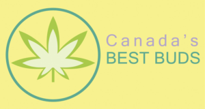 Logo Design by zokru