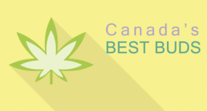 Logo Design by zokru for this project | Design: #11407836