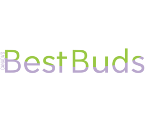Logo Design by RNIN VISUAL