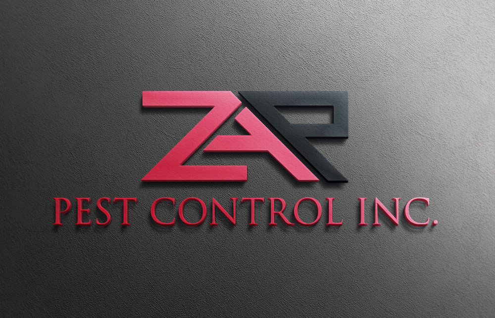 Logo Design by spring TM for this project | Design #11407777