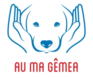 Logo Design by ammah112