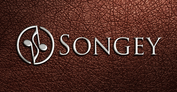 Diseño de Logo por Himanshi10 para Touch Village Inc. | Diseño #11413263