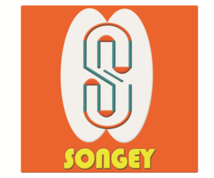 Logo Design by kshitijpayasi