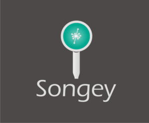 Logo Design by andriasgaluh for Touch Village Inc. | Design: #11420201