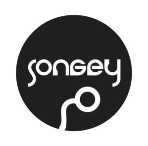 Logo Design by shica